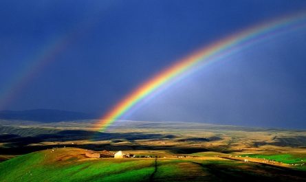 Dreams Rainbow