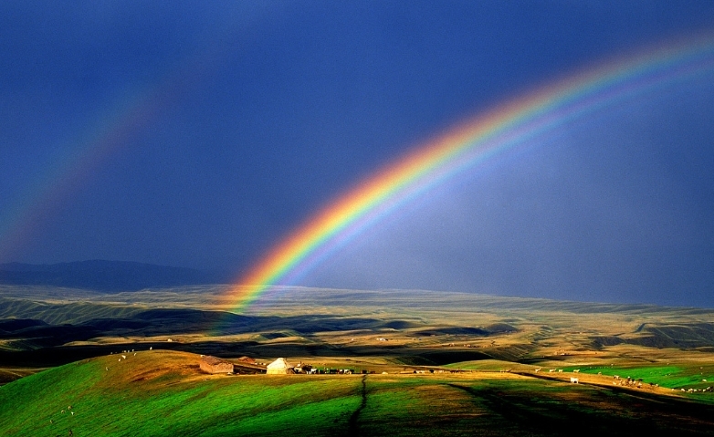 Dreams Rainbow